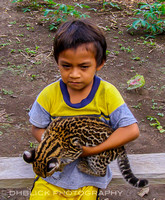 Ecuador - child with pet Ocilot