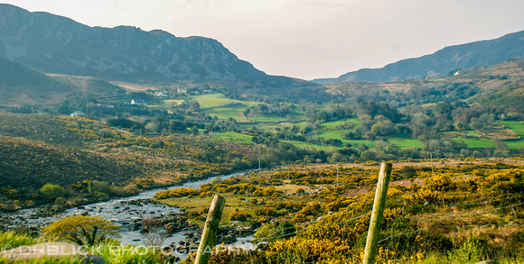 Irish countryside-2