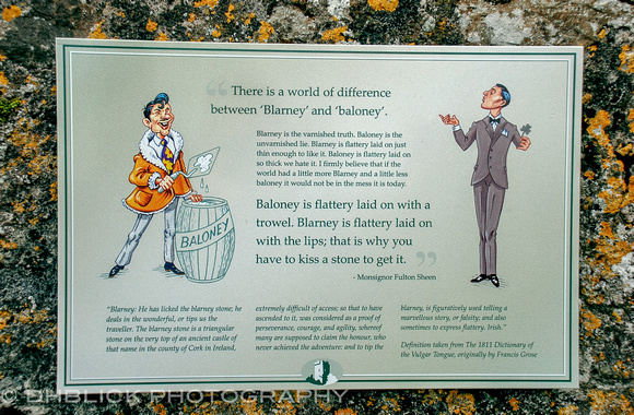 Blarney Castle - Ireland